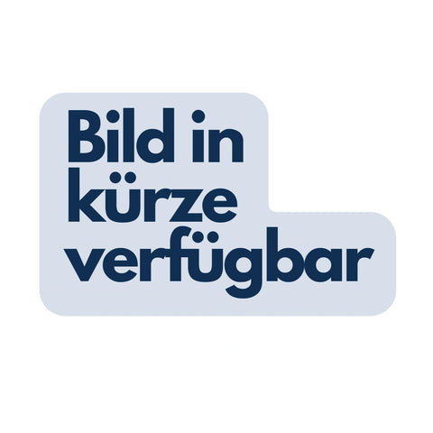 Zungenspatel Holz, 100 Stück Lohmann & Rauscher