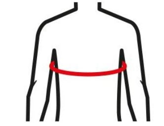 Cellacare Clavicula Classic Clavicula Fertigbandage Lohmann & Rauscher