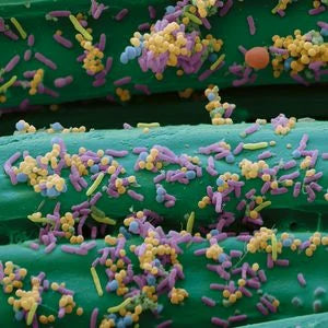 Cutimed® Sorbact® Saugkompressen BSN Medical