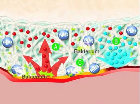 Suprasorb X+PHMB HydroBalance Tamonade