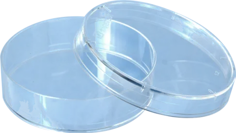 Petrischale mit Nocken glasklar AP 25x20 Ø60mm Höhe 15mm, gammasteril Sarstedt