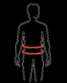 epX® Back Basic Rückenbandage Lohmann & Rauscher